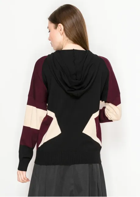 Hoodies Colorblock sweater-YAL